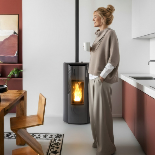 Poêle à granulés - Bionalo Vendée